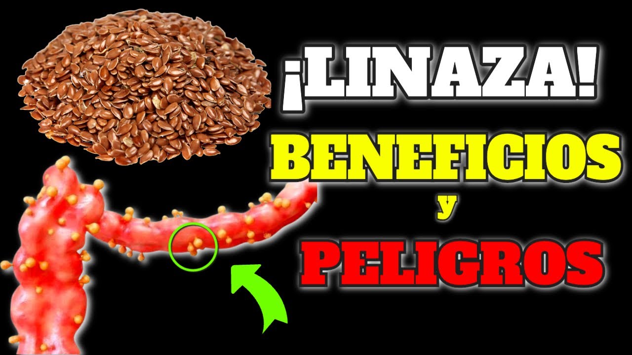 efectos secundarios de la linaza en la flora intestinal