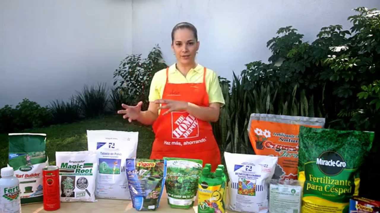 el mejor fertilizante para arboles frutales