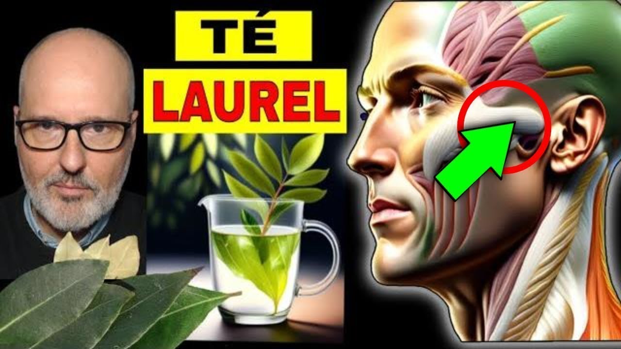 enfermedades del laurel en las hojas