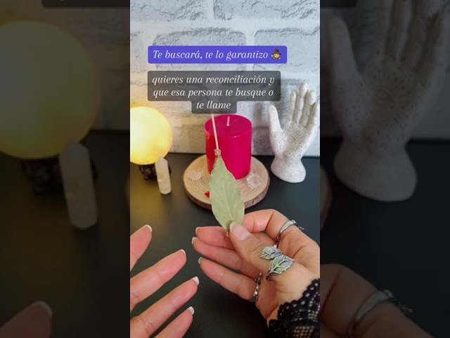escribir en una hoja de laurel
