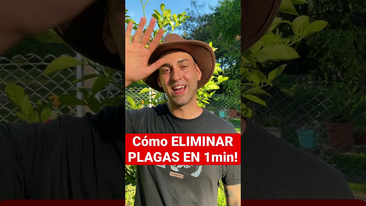 especie de oruga grande que ataca los arboles frutales