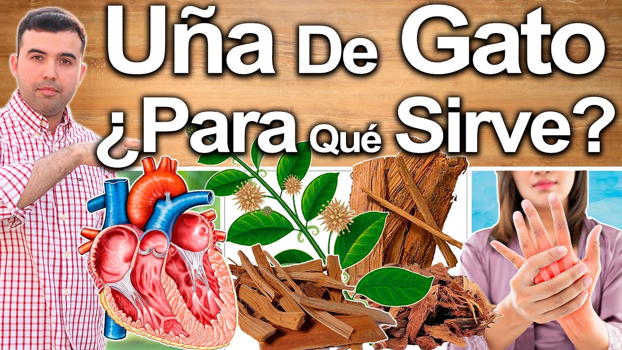 flor de la uña de gato