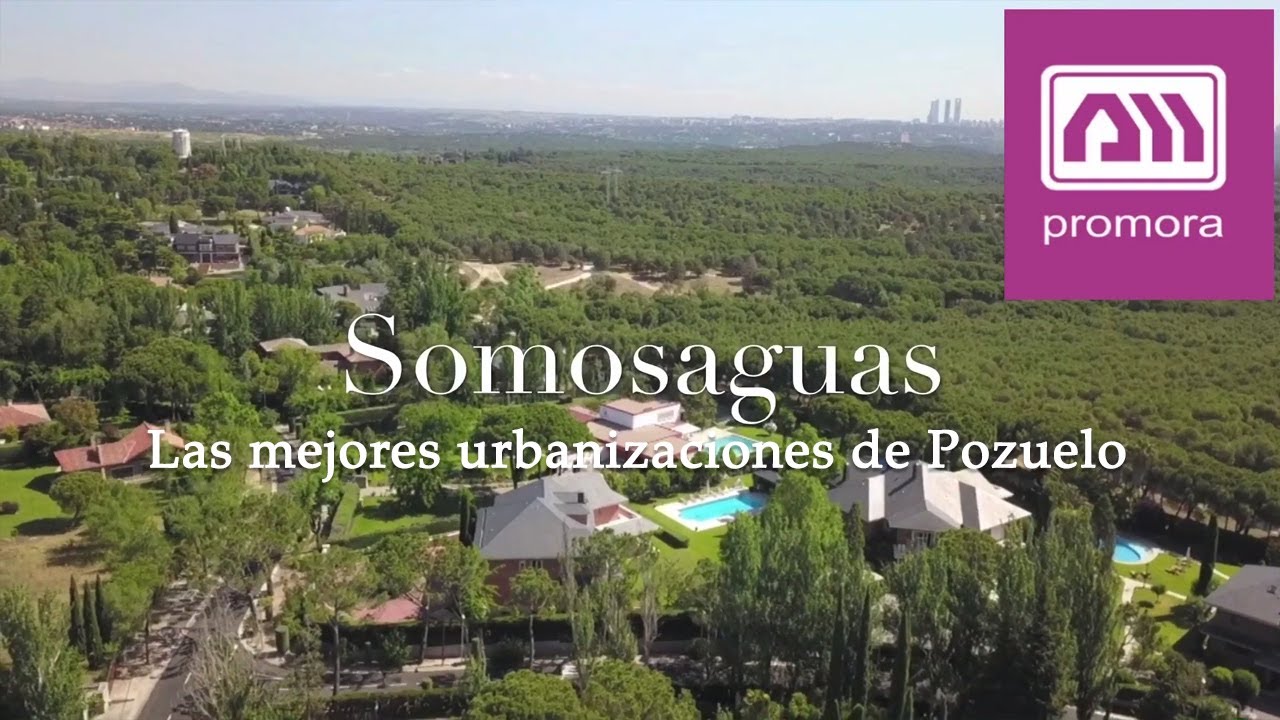 fotos de tienda jardinería pozuelo s.l. pozuelo de alarcón