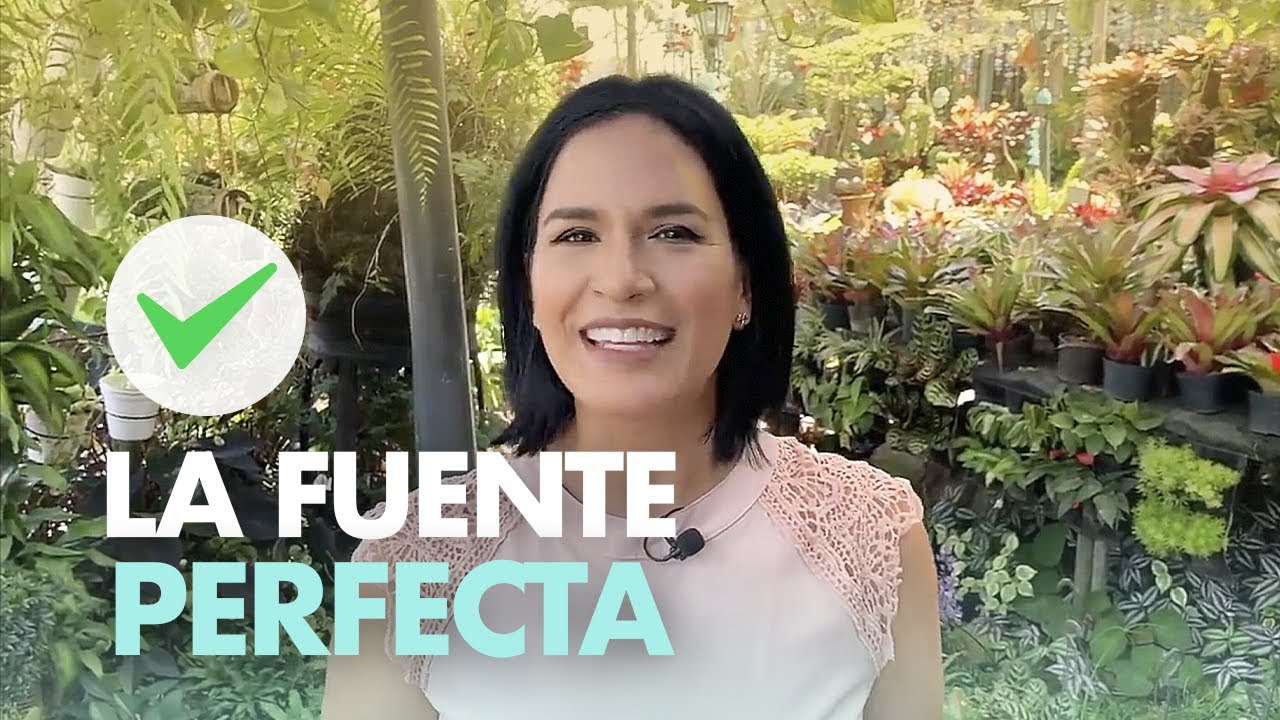 fuentes de agua para jardin usadas