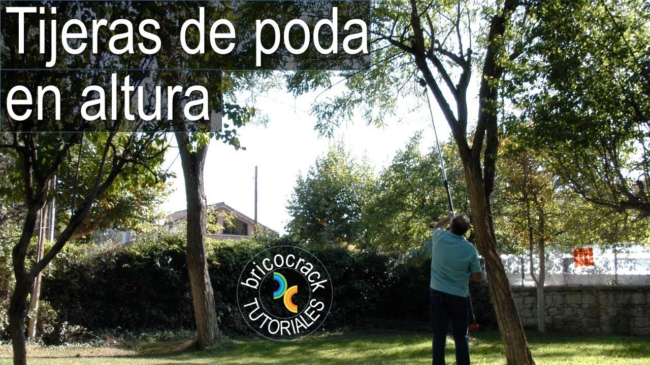 herramientas para podar arboles en altura