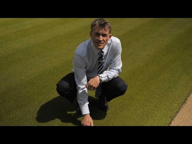 hierba del jardin o del estadio