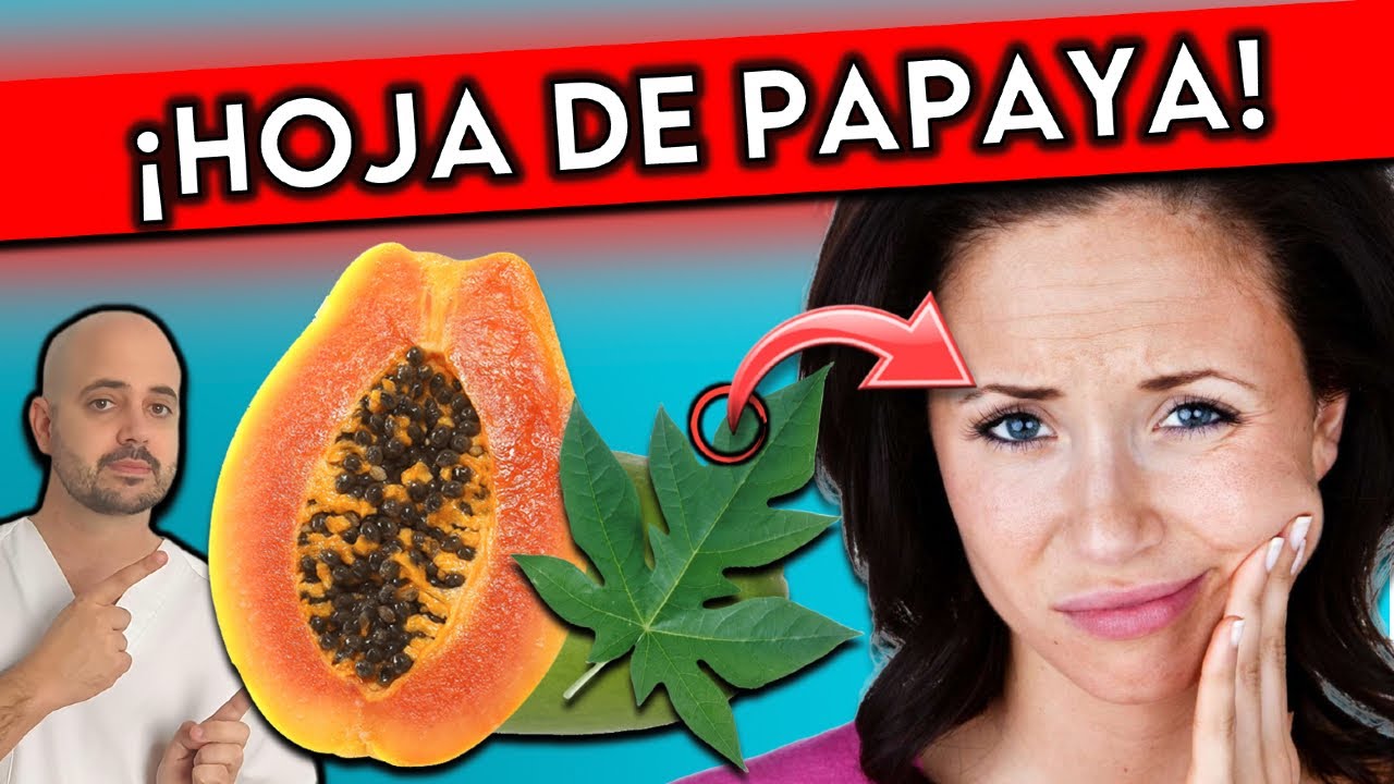 hojas de papaya para que sirven
