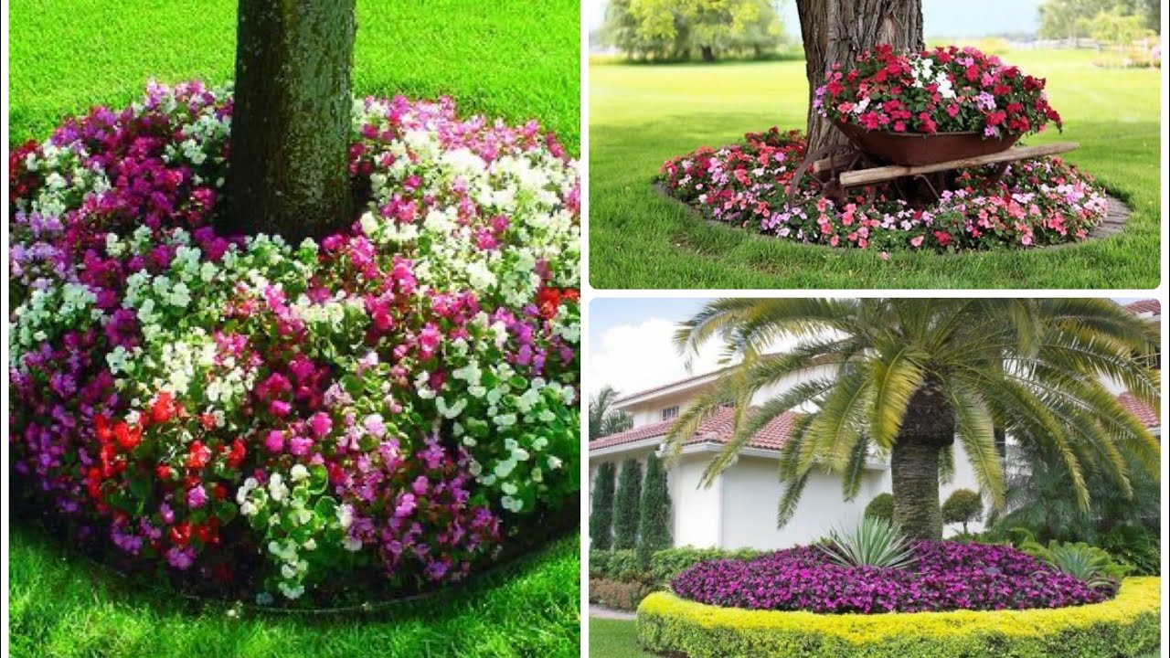 ideas para decorar alrededor de un arbol