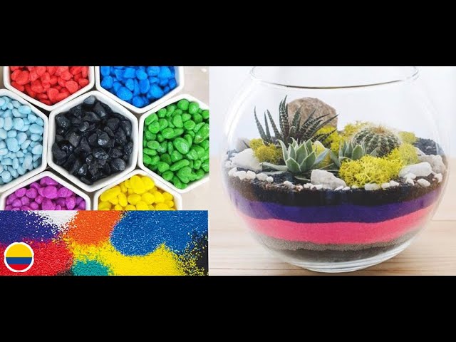 jardines con cactus y piedras blancas