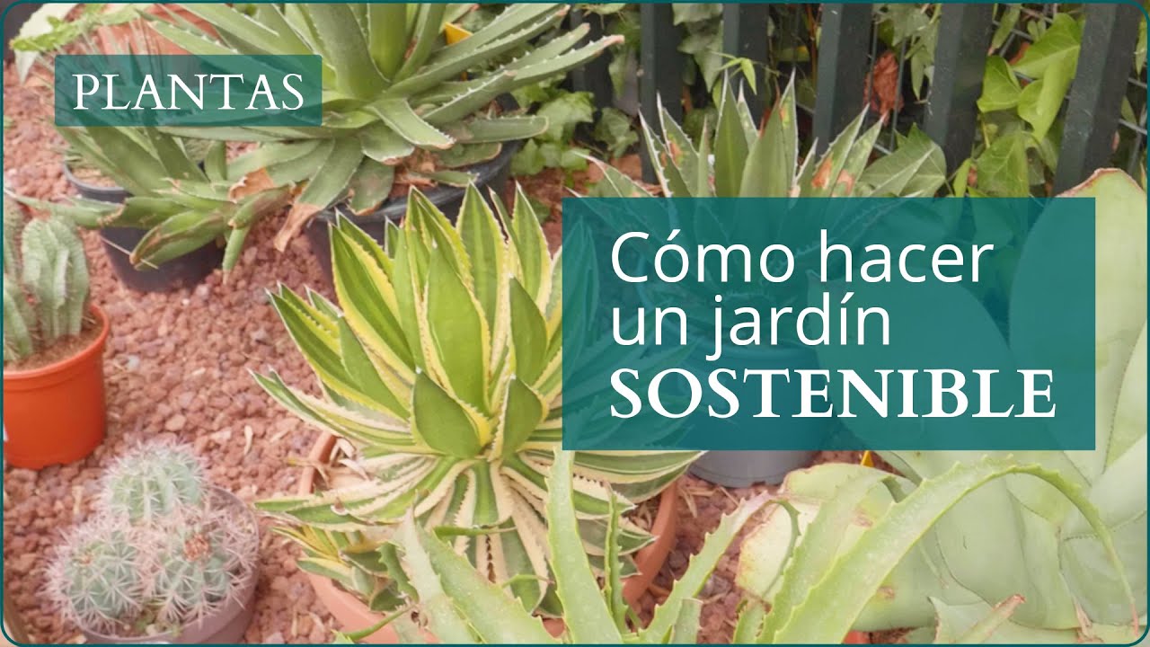 jardines sostenibles y de bajo mantenimiento