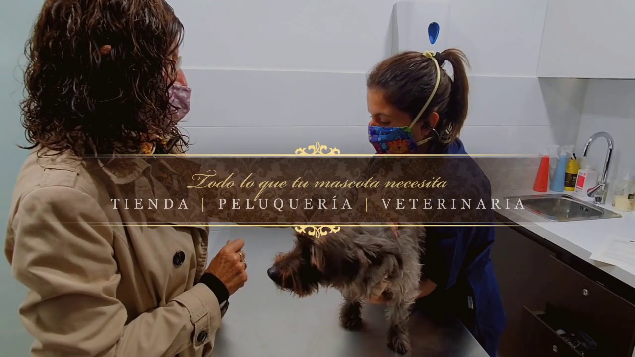la tienda de tu mascota jardín de málaga