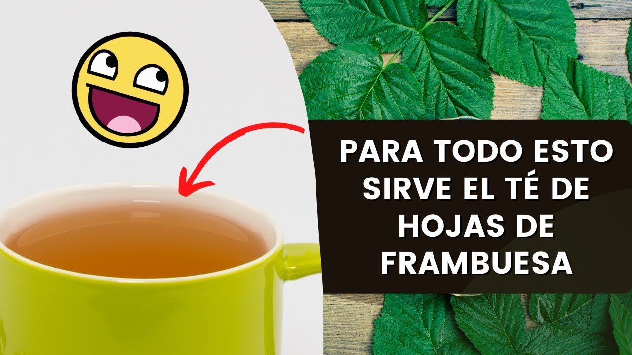 propiedades de la hoja de frambuesa