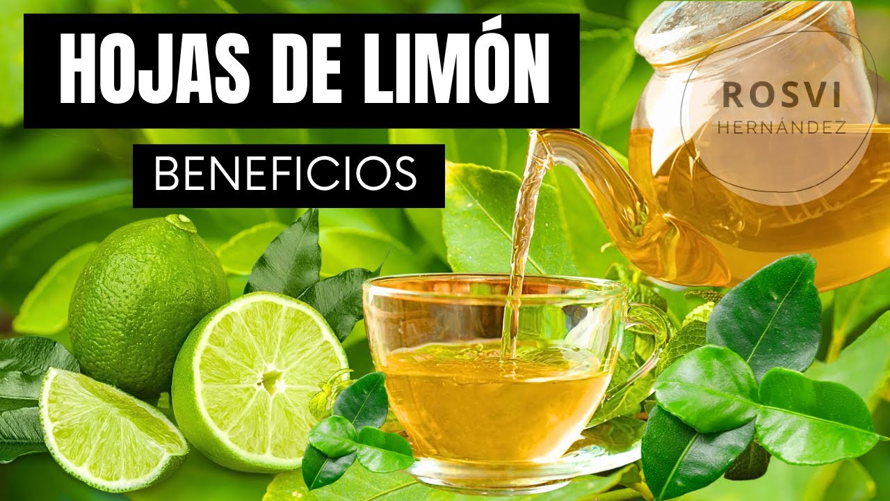 propiedades de las hojas del limonero