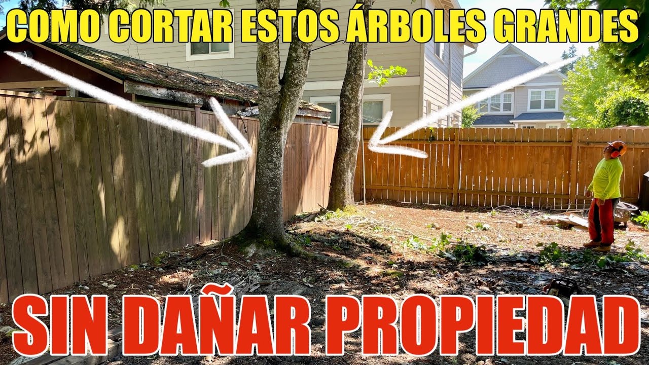 puedo cortar un arbol en mi casa