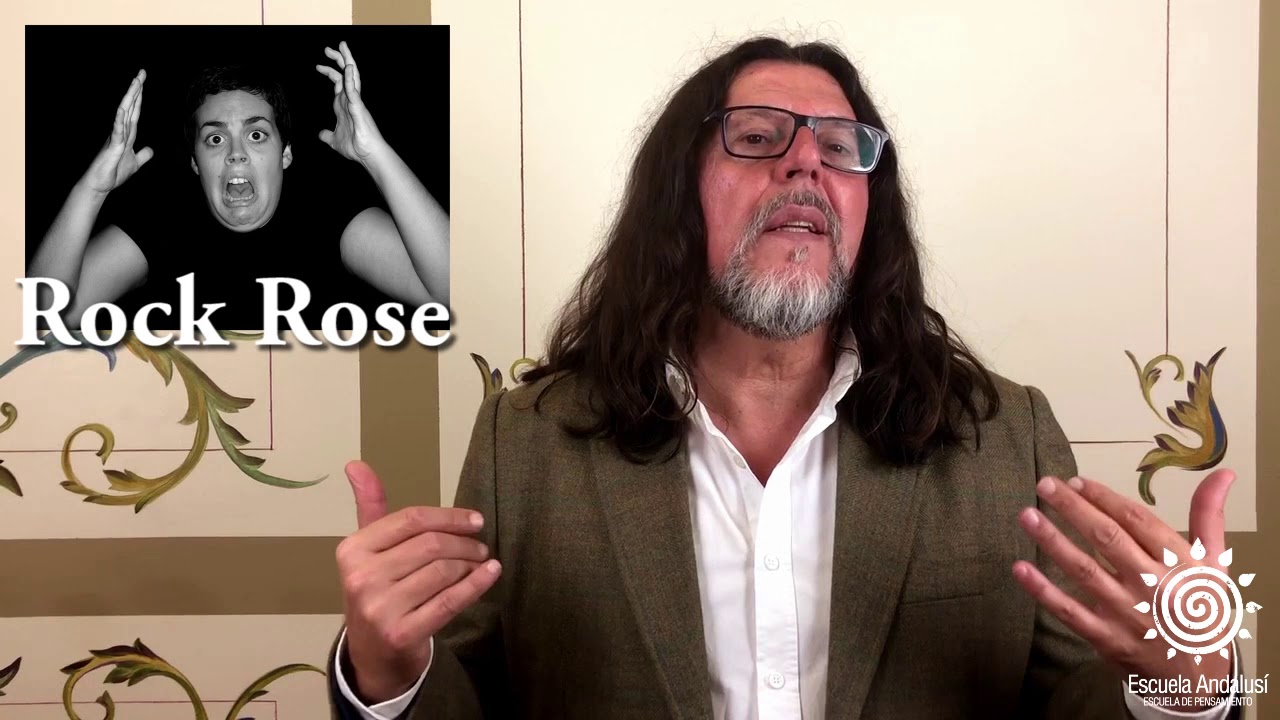 rock rose flores de bach para que sirve