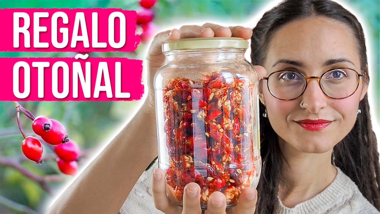 rosa mosqueta y escaramujo es lo mismo