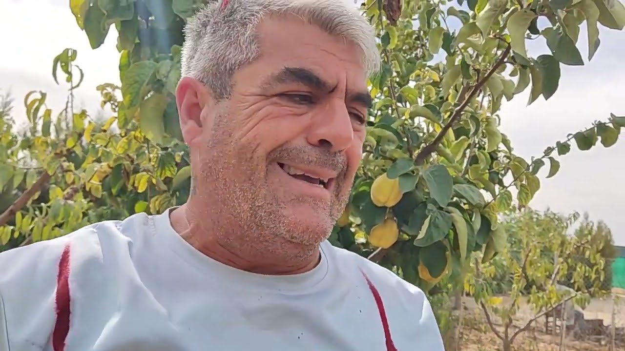 se puede injertar manzano en membrillo