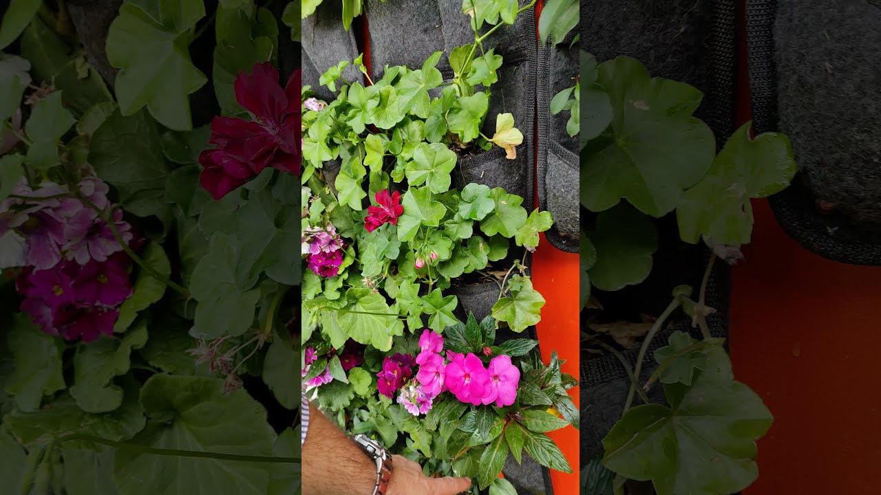 sistema de riego para jardin vertical