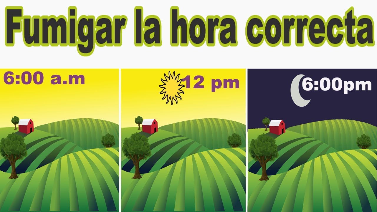 sulfatar por la mañana o por la tarde