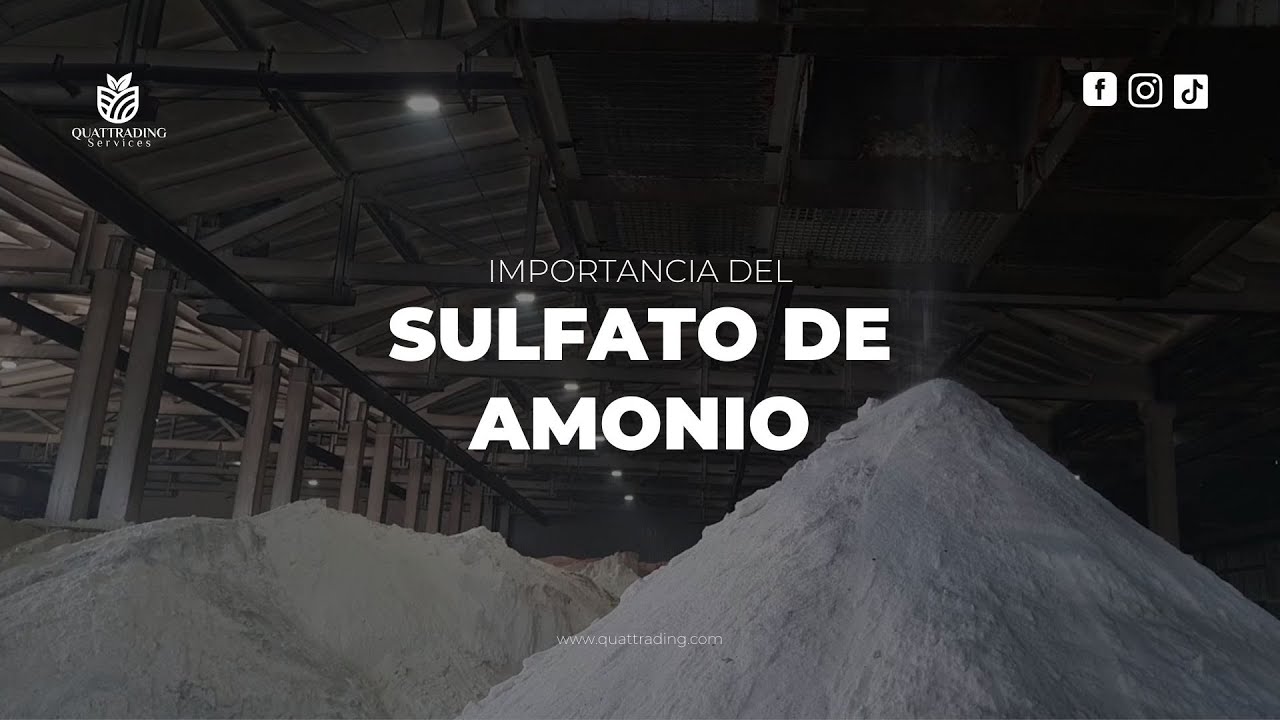 sulfato de amonio para que sirve