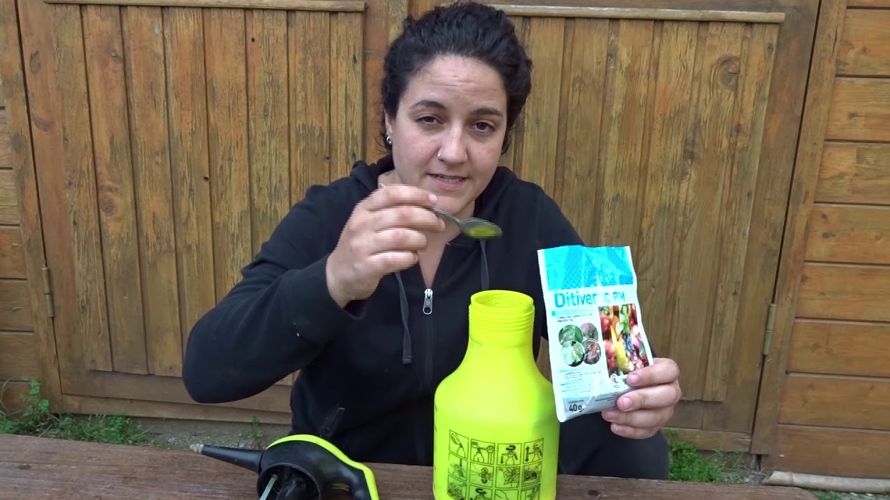 sulfato de cobre tomates plazo de seguridad