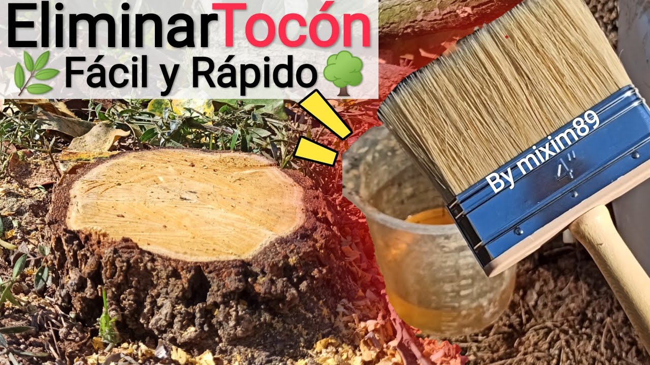 veneno para matar raices de arboles