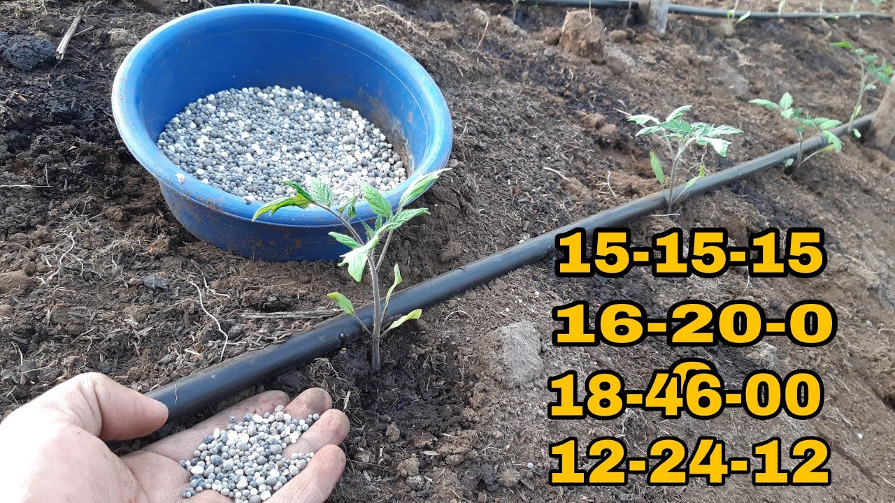 abono 15 15 15 - para tomates