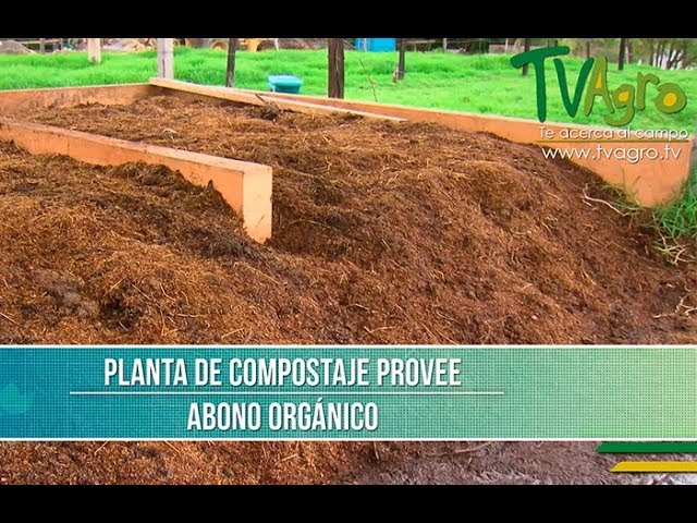 abono biológico para cultivo en tierra