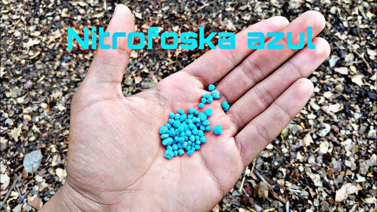 abono de bolitas azules para que sirve