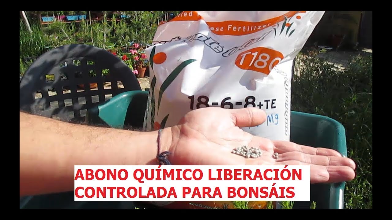 abono de liberacion lenta para bonsai