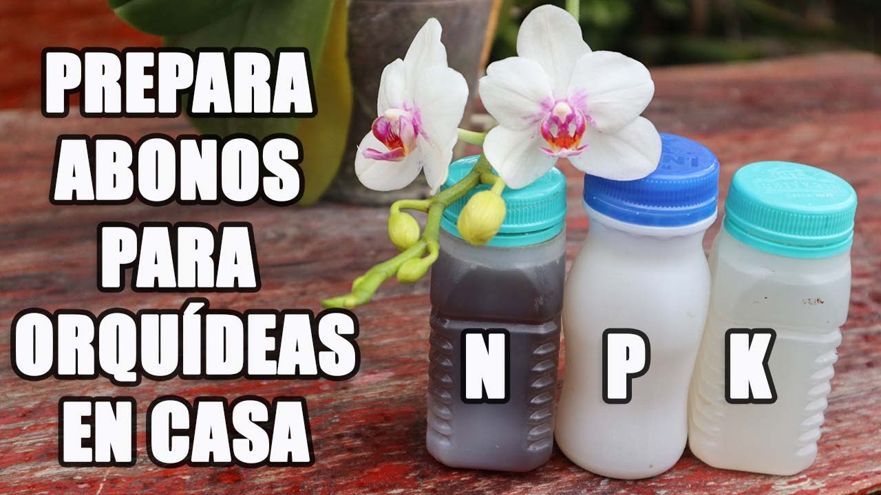 abono natural para orquideas en macetas