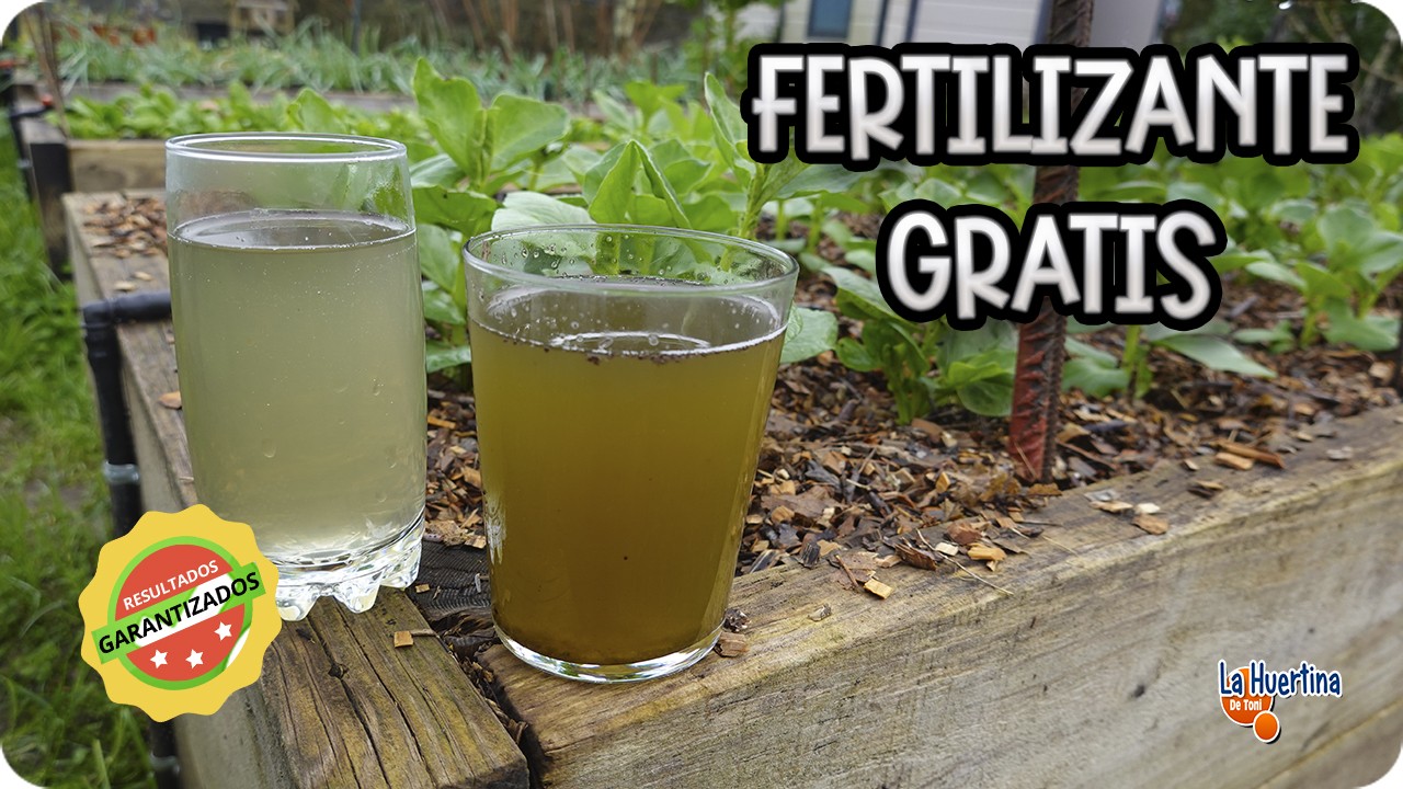 abono rico en nitrógeno fósforo y potasio casero