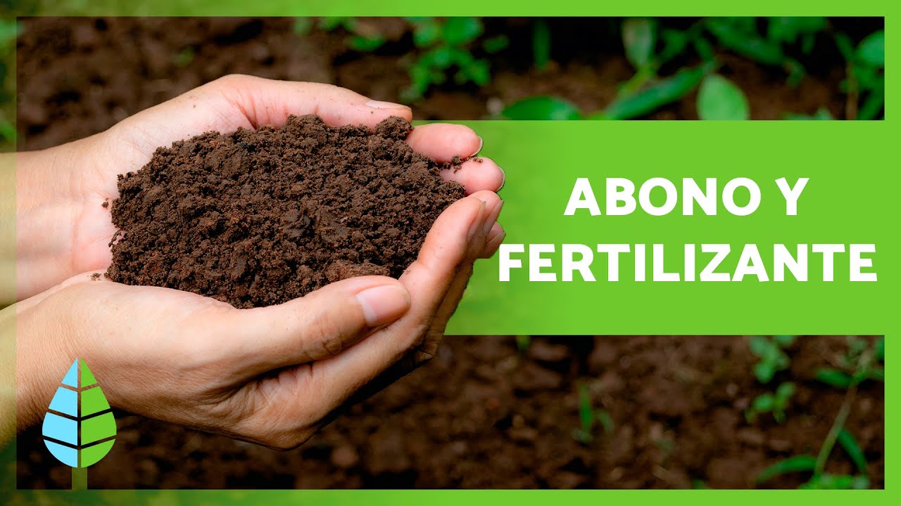 abono y fertilizante es lo mismo