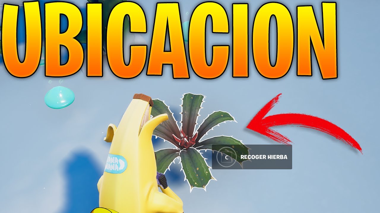arrancar malas hierbas de los retoños