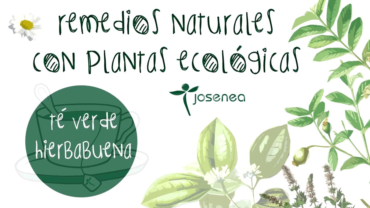 beneficios del te verde con hierbabuena