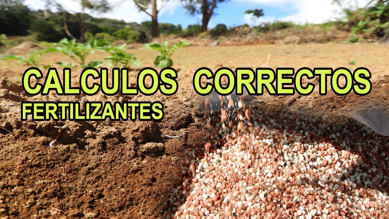 cantidad de abono por m2 huerto