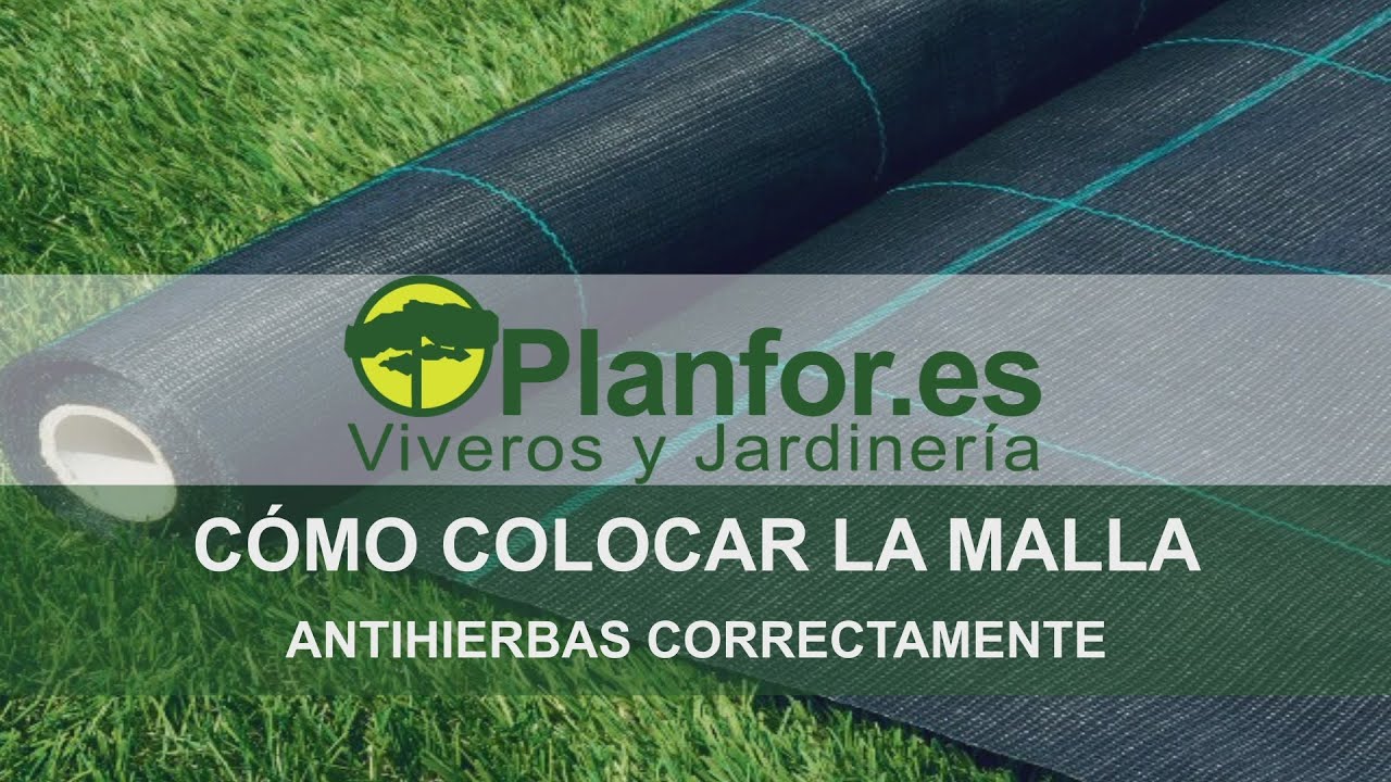 como colocar malla antihierbas en huerto