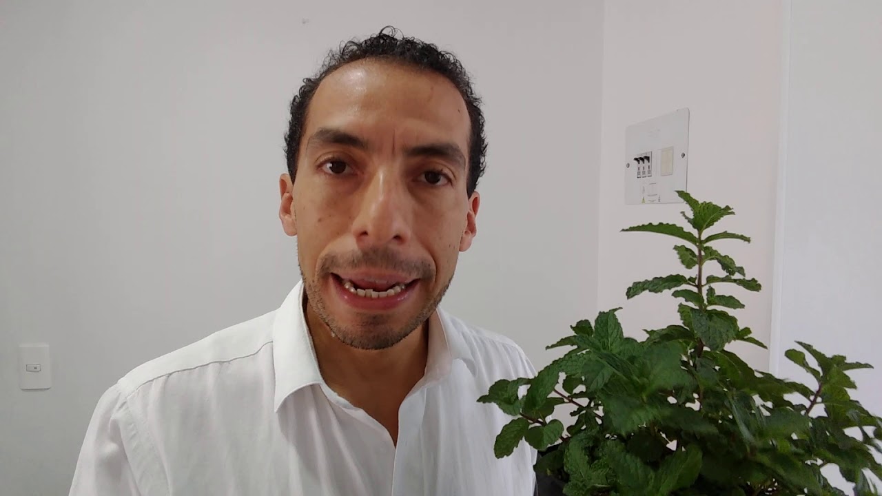 como combatir las plagas de la hierbabuena