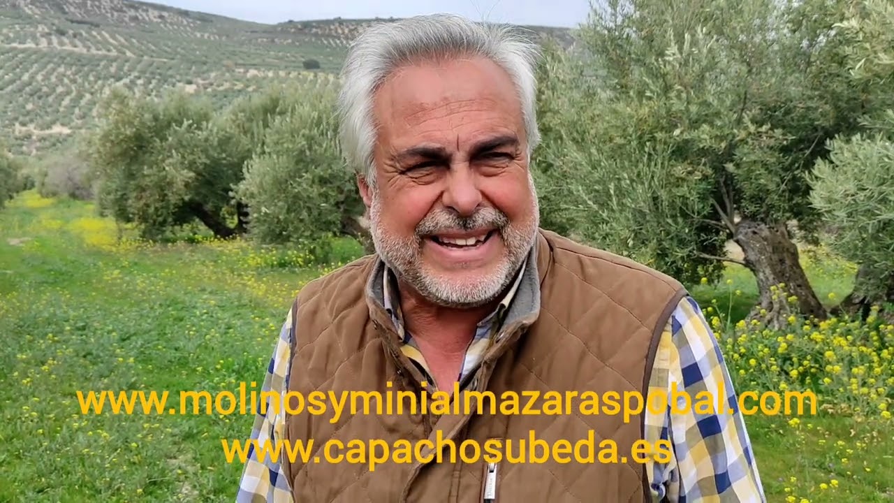 como echar abono a los olivos a mano