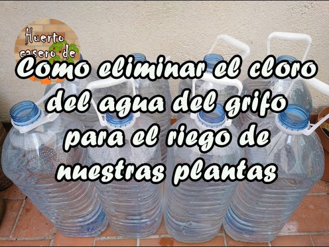 como eliminar el cloro del agua para regar