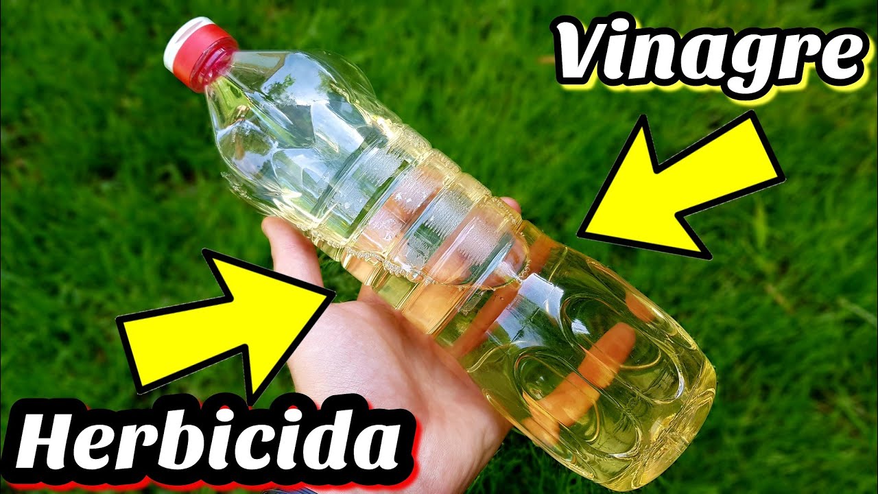 como eliminar las malas hierbas para siempre