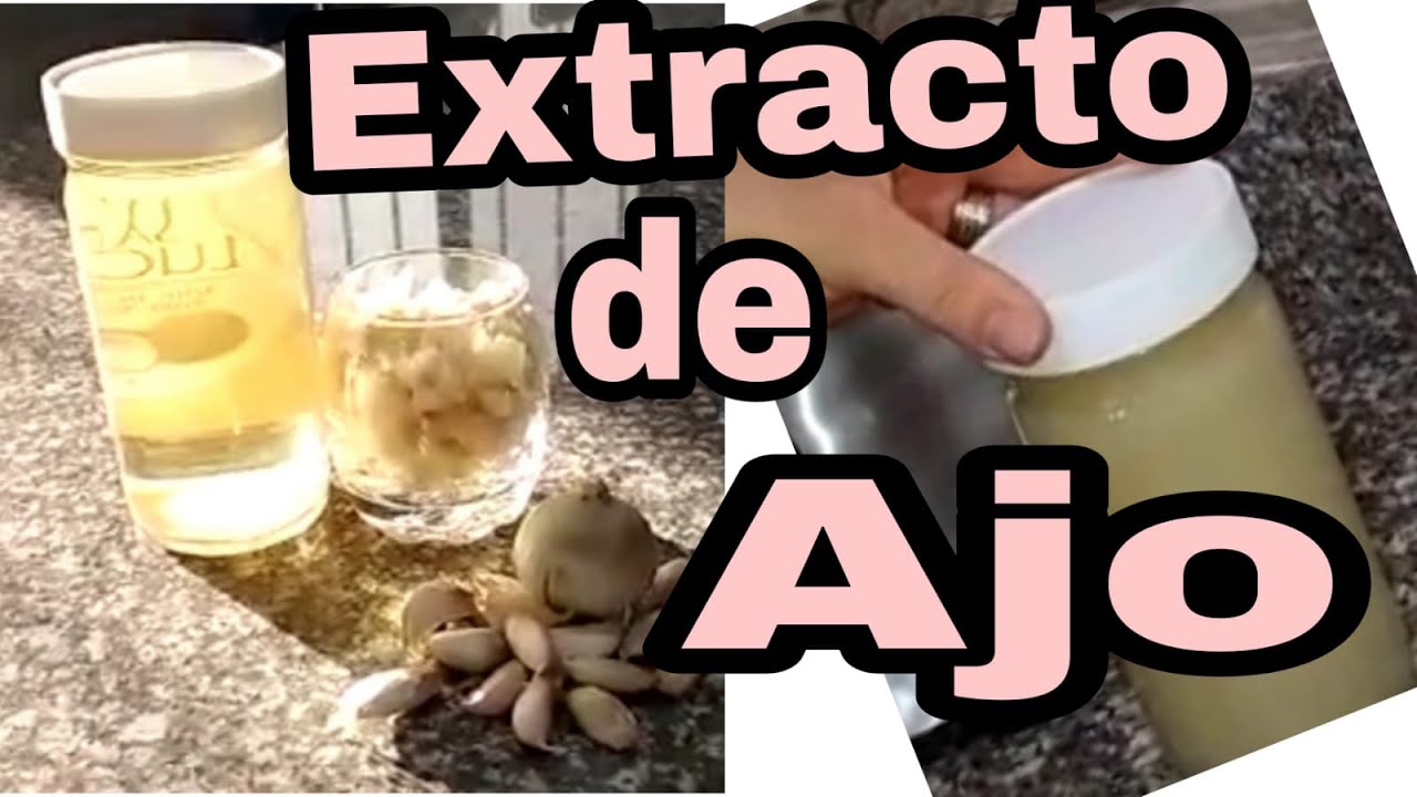 como hacer extracto de ajo insecticida