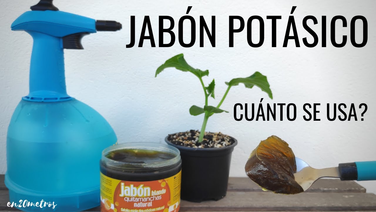como hacer insecticida con jabon potasico