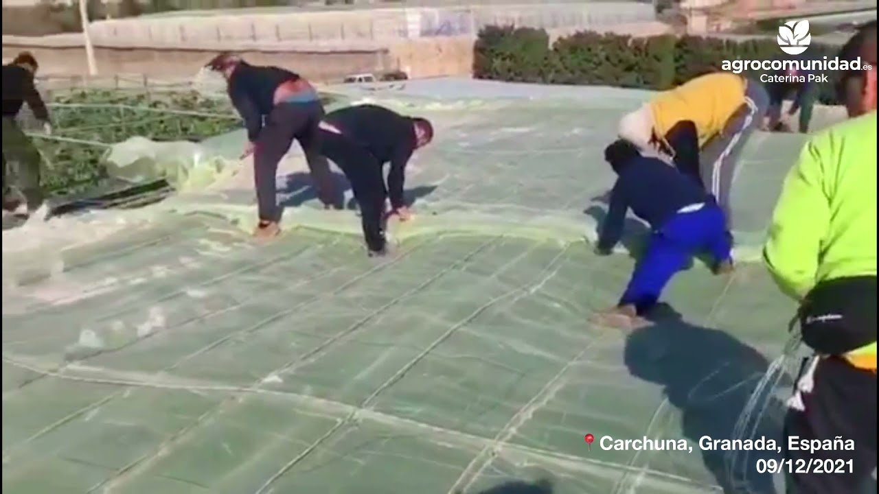 como hacer un invernadero resistente al viento
