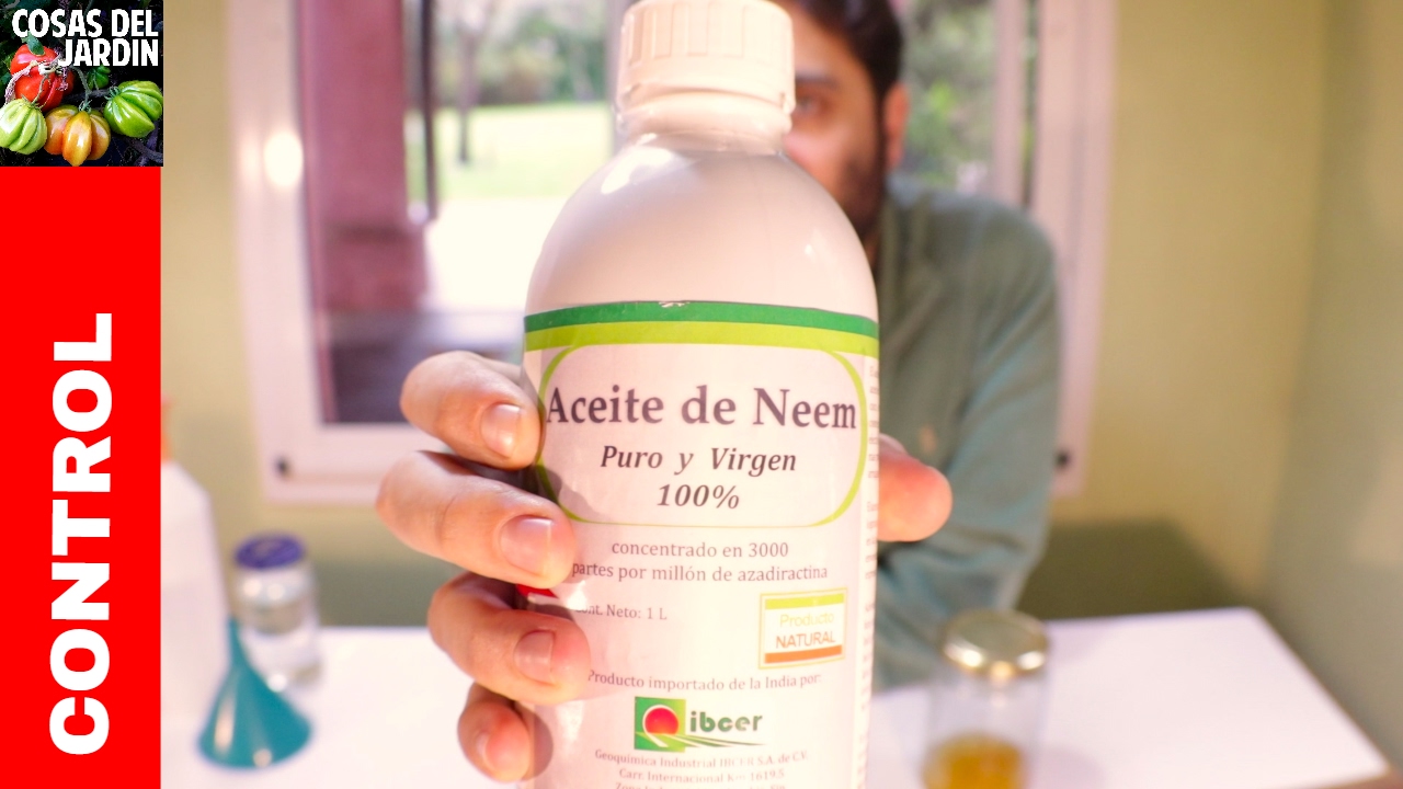como preparar insecticida con aceite de neem
