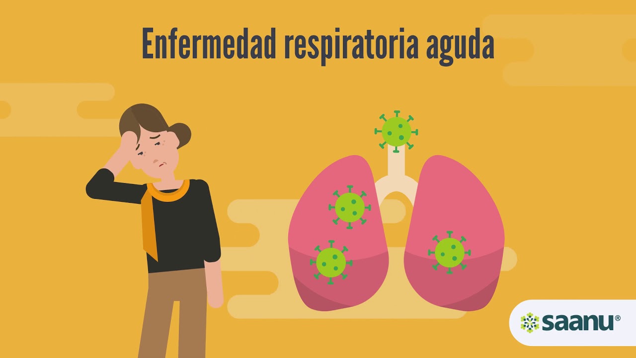 cómo puedo cuidar el aparato respiratorio