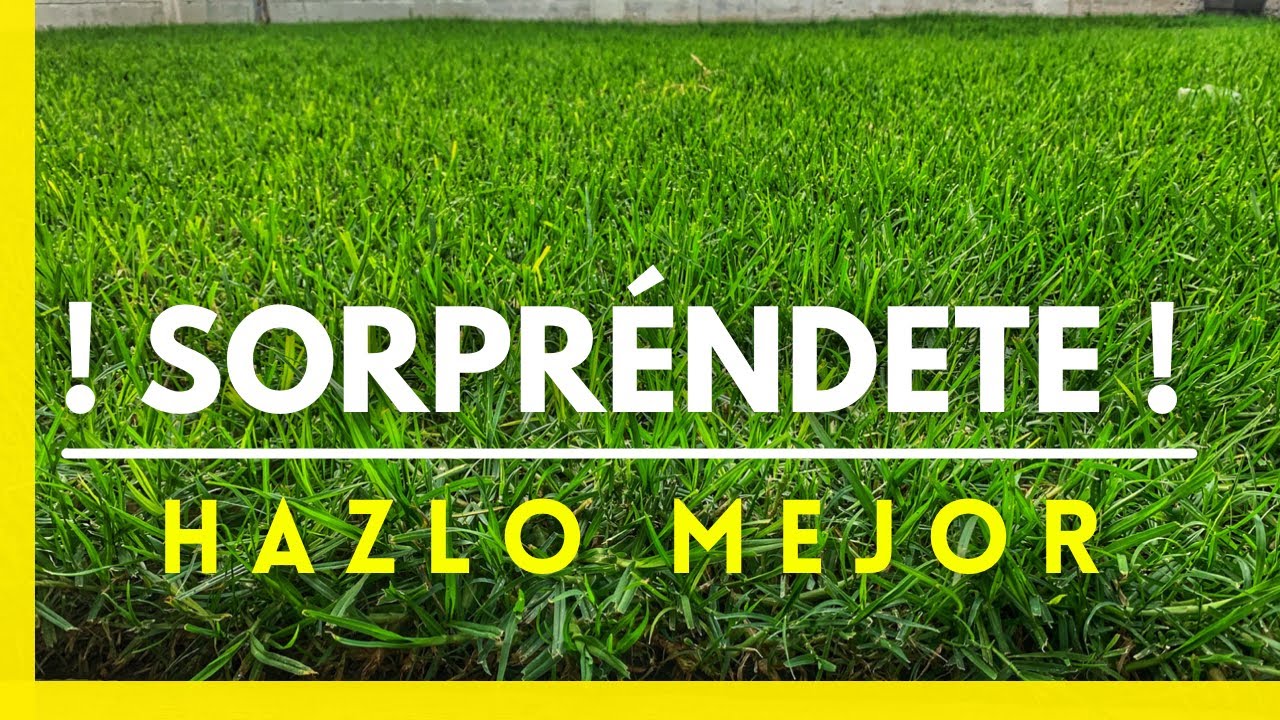 compo abono cesped 4 en 1