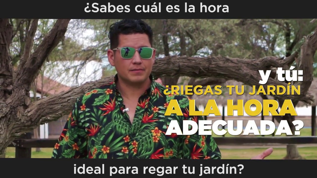 cual es la mejor hora para regar en verano