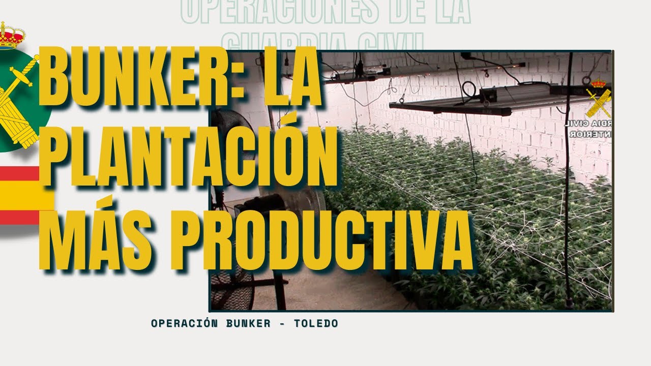 cual es la variedad más productiva en interior