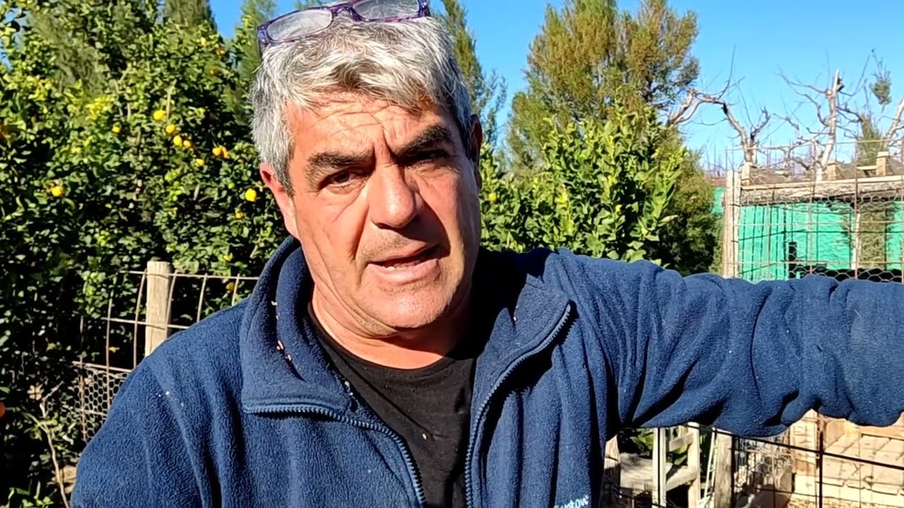 cuando hay que fumigar los árboles frutales